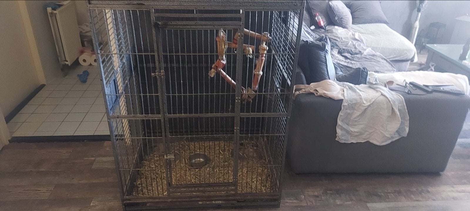 Te koop papegaai e kooi of andere vogels, Ophalen of Verzenden, Gebruikt, Metaal, Vogelkooi