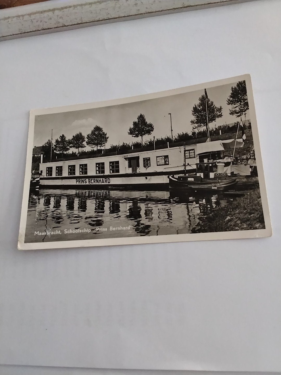 Oude Ansichtkaart: Schoolschip Prins Bernhard, Maasbracht, Verzamelen, Ophalen of Verzenden, 1940 tot 1960, Ongelopen, Limburg