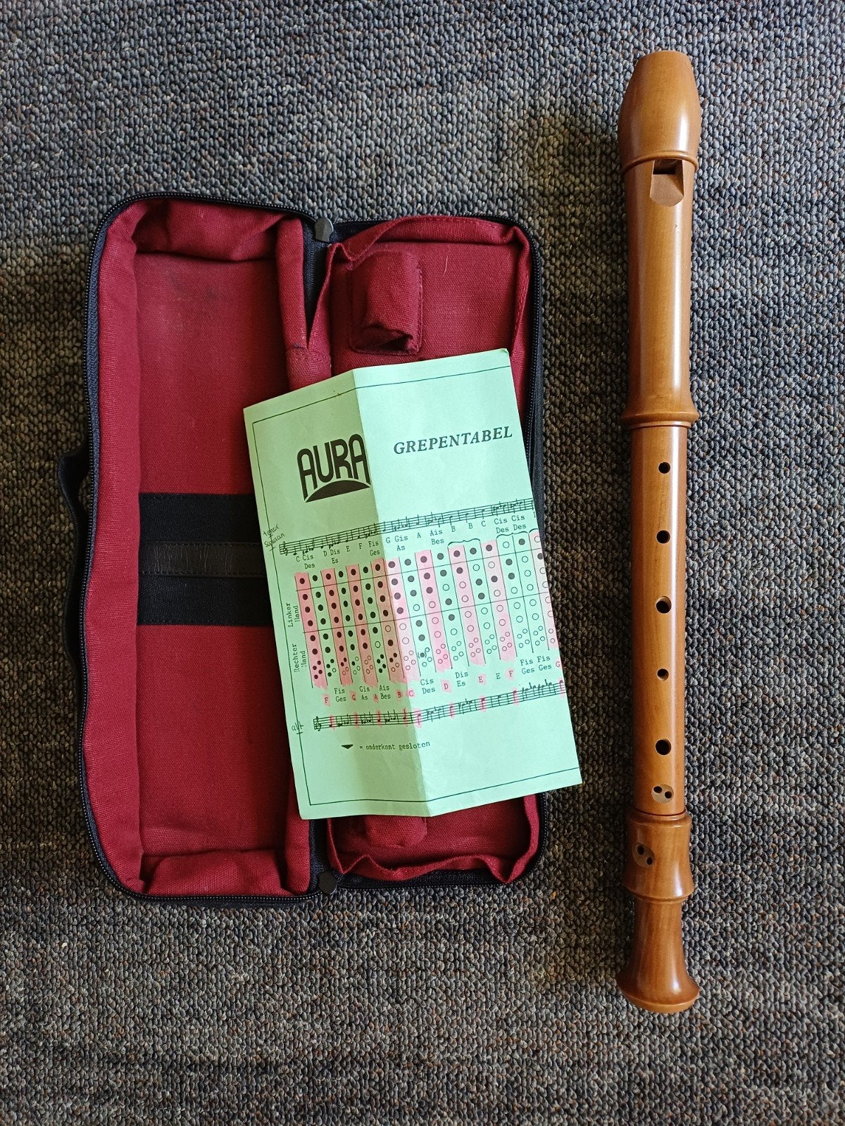 Aura altblokfluit incl opberghoes en muziekboeken, igst, Ophalen of Verzenden, Gebruikt, Alt