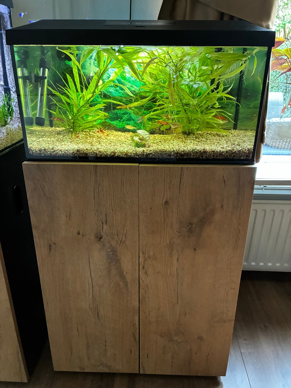 Aquael aqarium met day on nacht licht, Ophalen of Verzenden, Zo goed als nieuw, Gevuld zoetwateraquarium