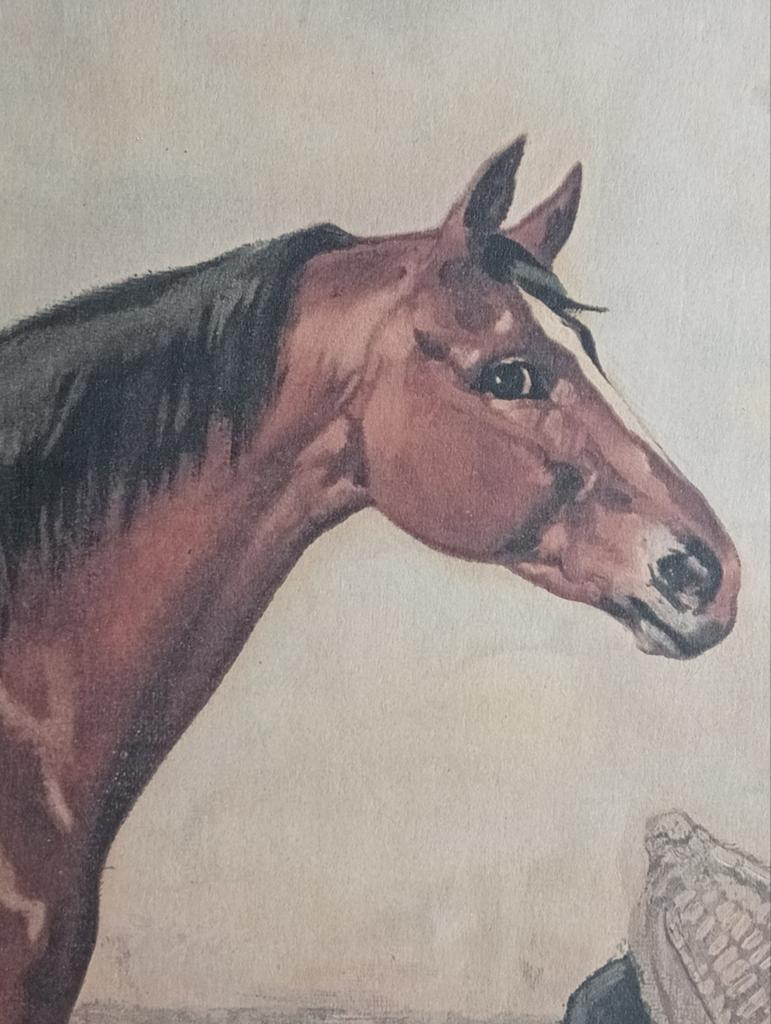Otto Eerelman prent Paard, Ophalen of Verzenden, Voor 1940, Gebruikt, Overige onderwerpen