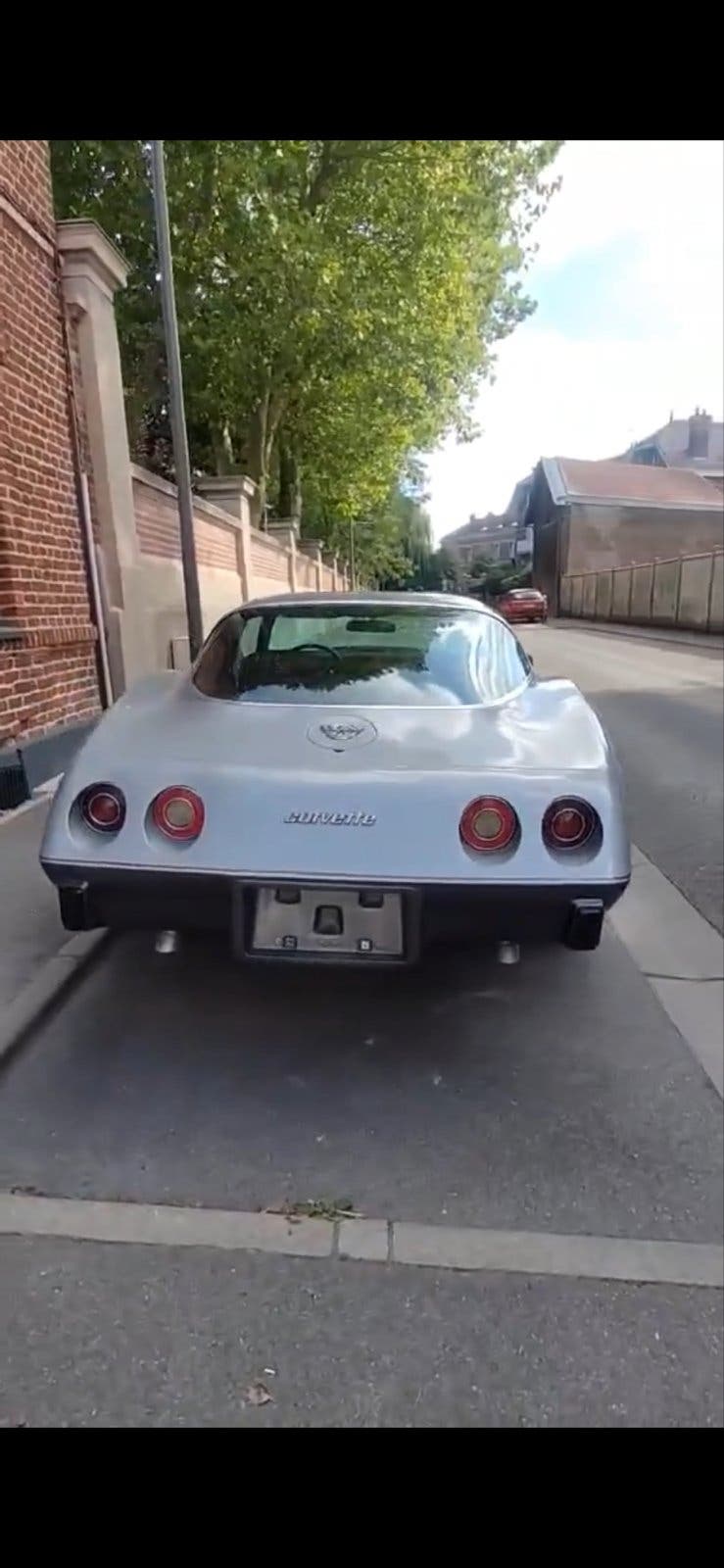 chevrolet corvette c3 25 anniversery edition 1978, foto 3