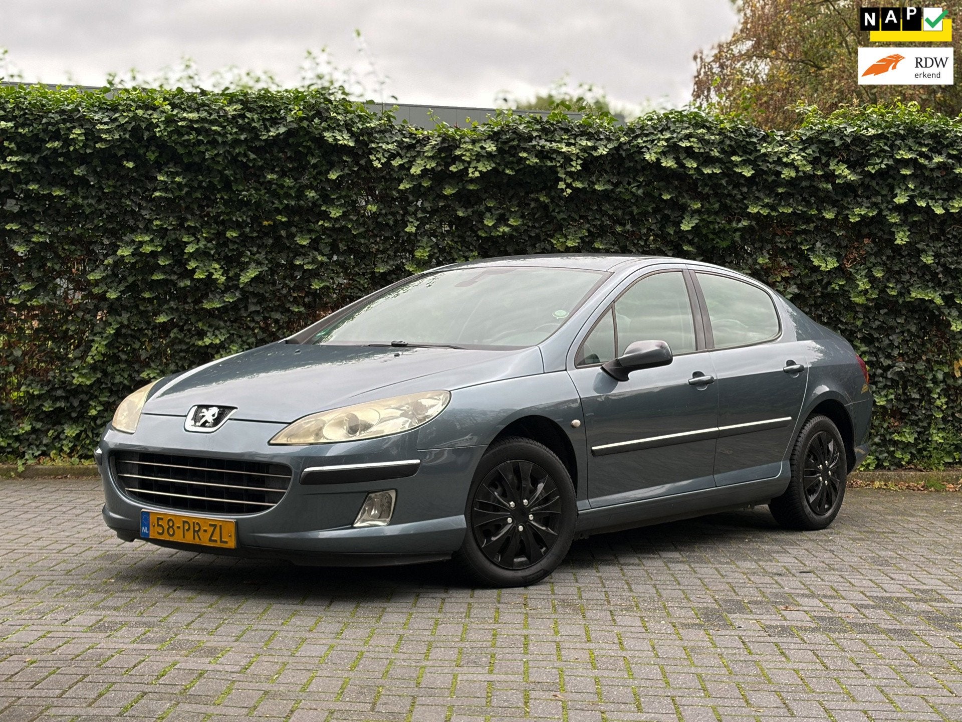 Peugeot 407