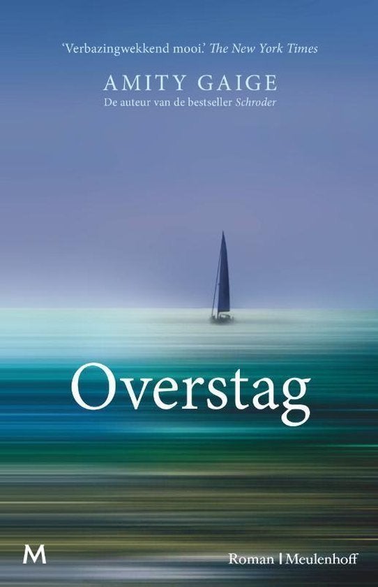 Overstag, Boeken, Ophalen of Verzenden, Zo goed als nieuw, Amity Gaige, Amerika