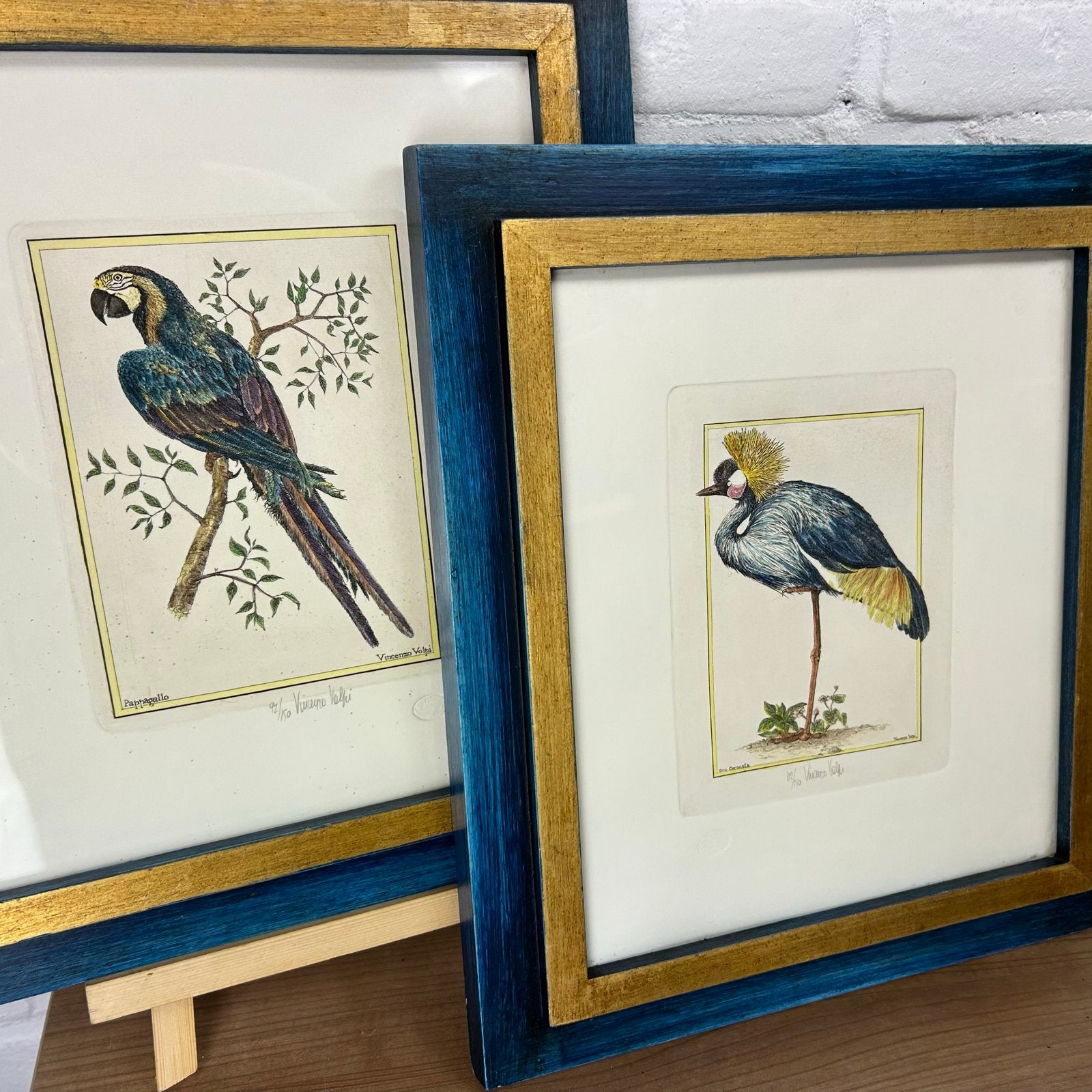 Twee ingelijste gravures van vogels door Vincenzo Volpi, Antiek en Kunst, 1950 - 1999, Ophalen of Verzenden, Gravure, Flora en Fauna