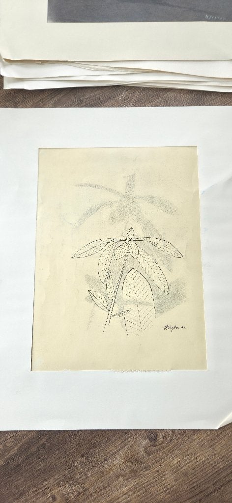 Kamerplant, Antiek en Kunst, Ophalen, Papier/karton, Overige technieken, Gesigneerd