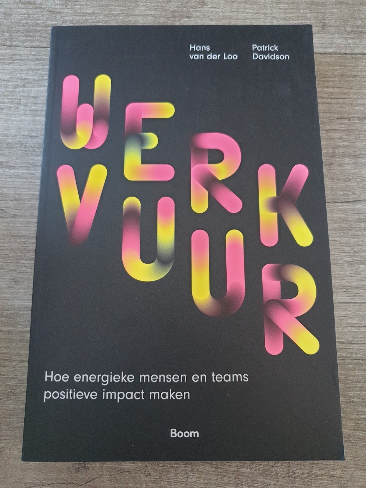 Werkvuur: Hoe energieke mensen en teams impact maken, Ophalen of Verzenden, Gelezen, Hans van der Loo, Patrick Davidson