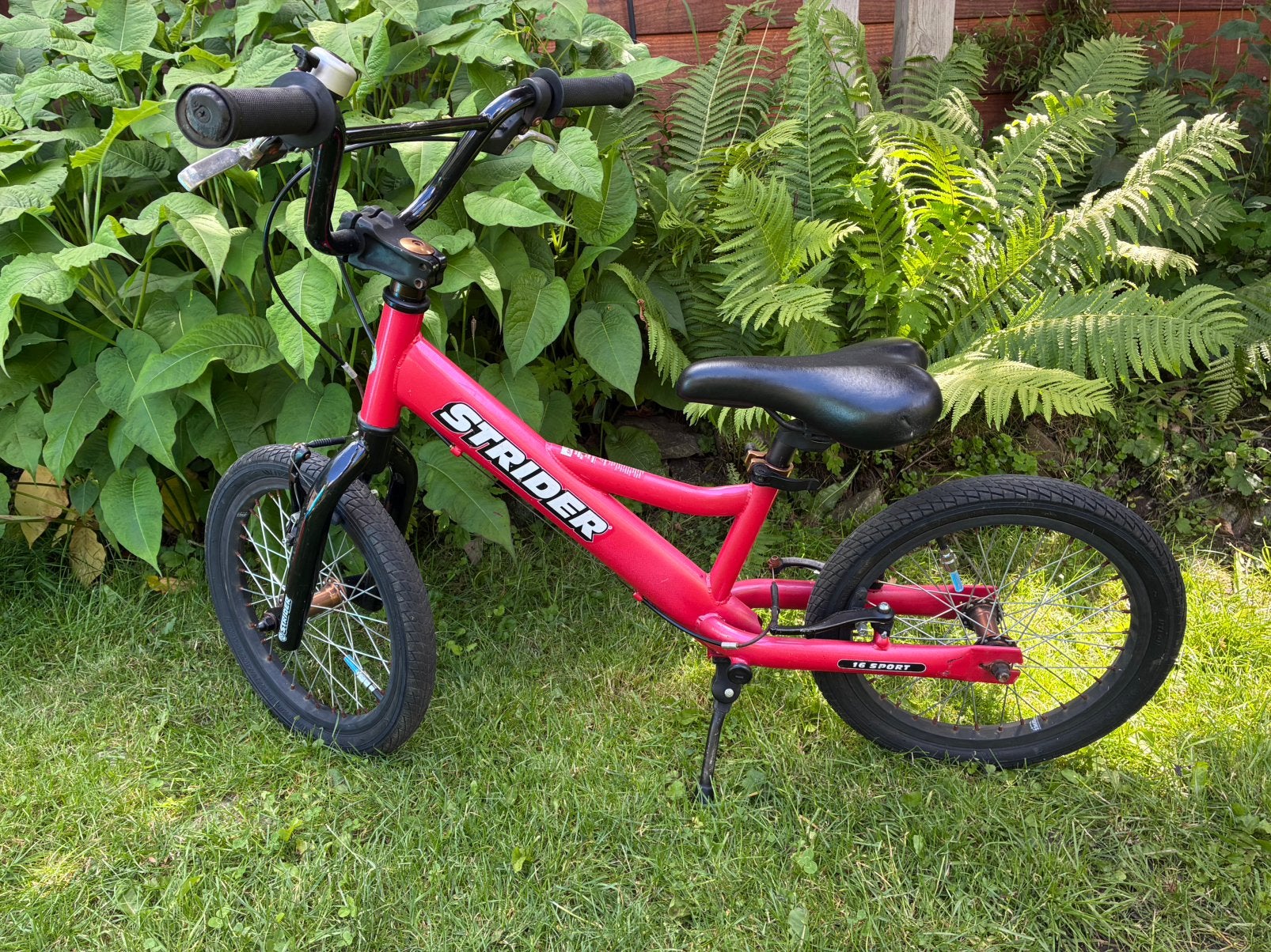 Strider 16 inch BMX loopfiets, Ophalen, Gebruikt, Staal, 16 tot 20 inch