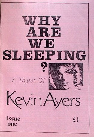 Kevin Ayers - Why are we sleeping?, Gelezen, Artiest, Ophalen of Verzenden, Kevin Ayers