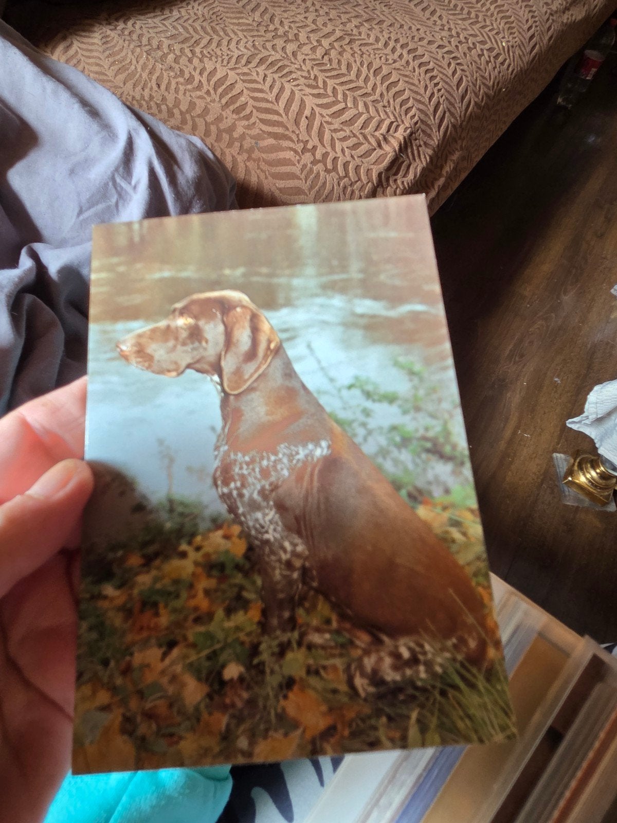 Vintage Ansichtkaart: Duitse Staande Hond bij Water, Ophalen of Verzenden
