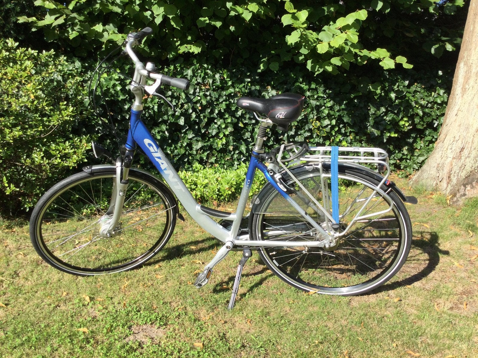 Giant damesfiets, Fietsen en Brommers, Fietsen | Dames | Damesfietsen, Ophalen, Versnellingen, Giant, Zo goed als nieuw