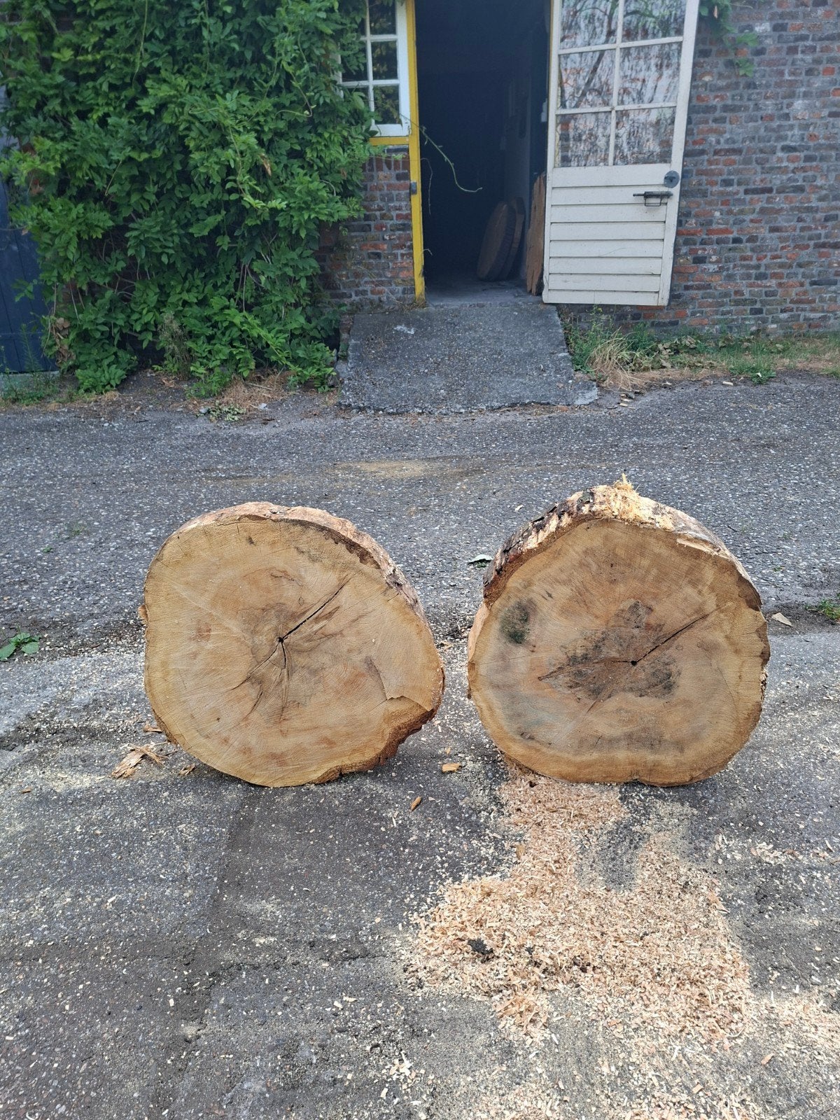 boomschijven 60 rond 12 dik, Minder dan 3 m³, Ophalen of Verzenden, Overige houtsoorten, Blokken