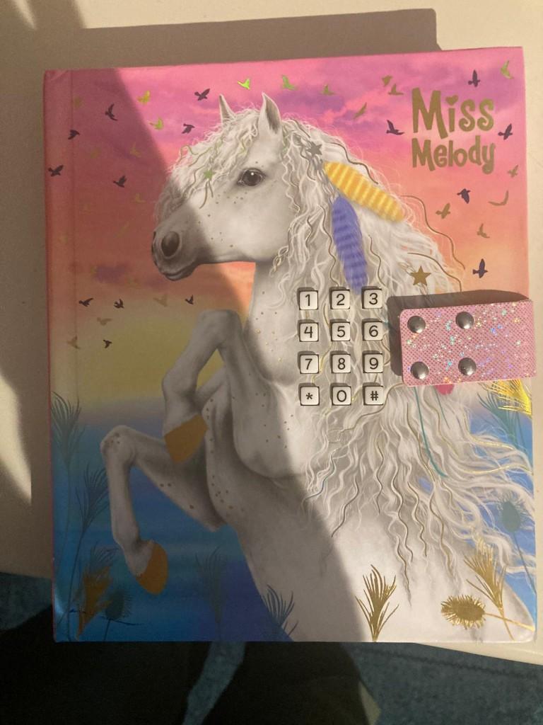 miss melody topmodel dagboek, Ophalen of Verzenden, Zo goed als nieuw