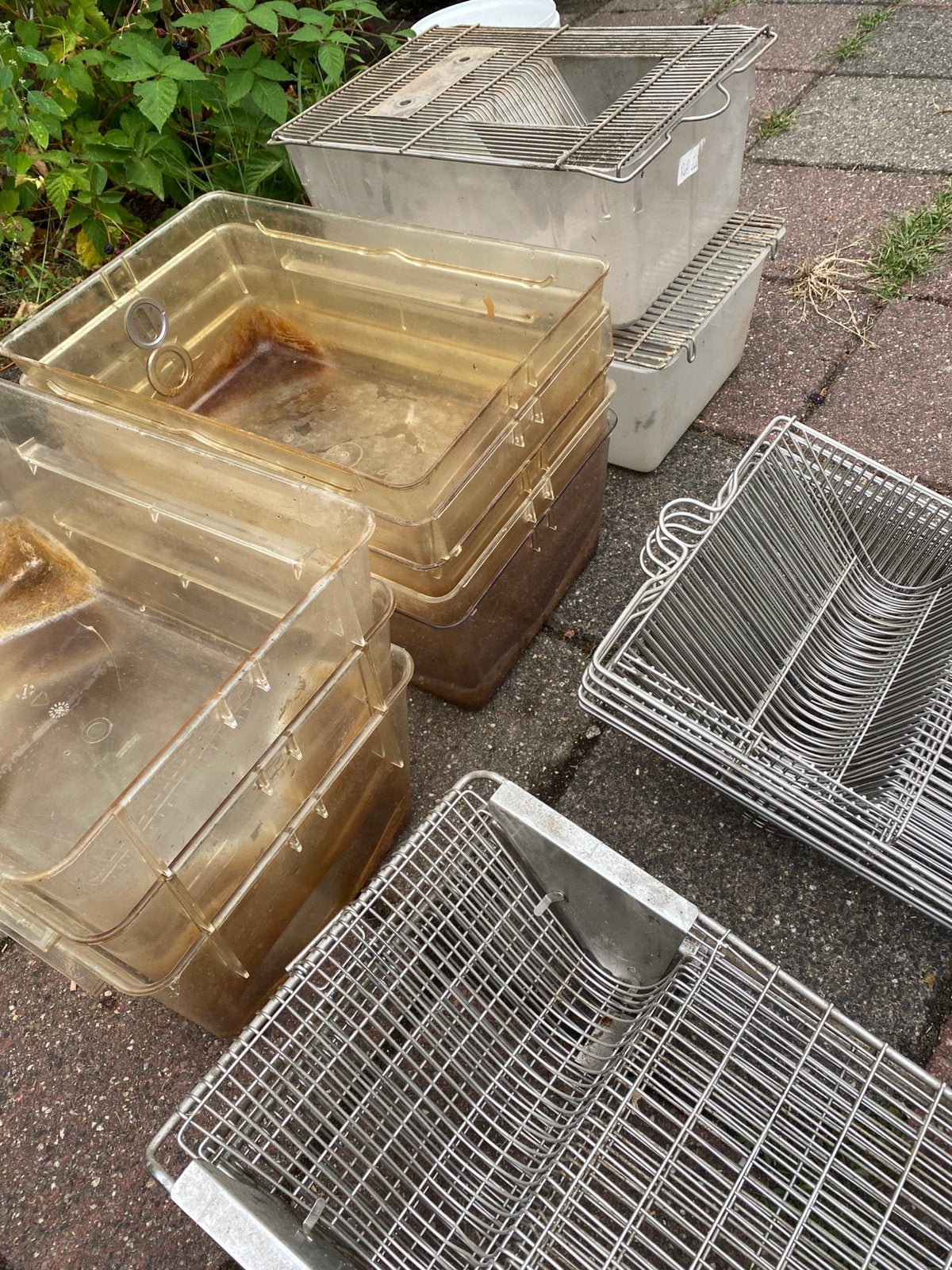 10 labbakken te koop T3, Kooi, Ophalen, Minder dan 60 cm, 110 cm of meer