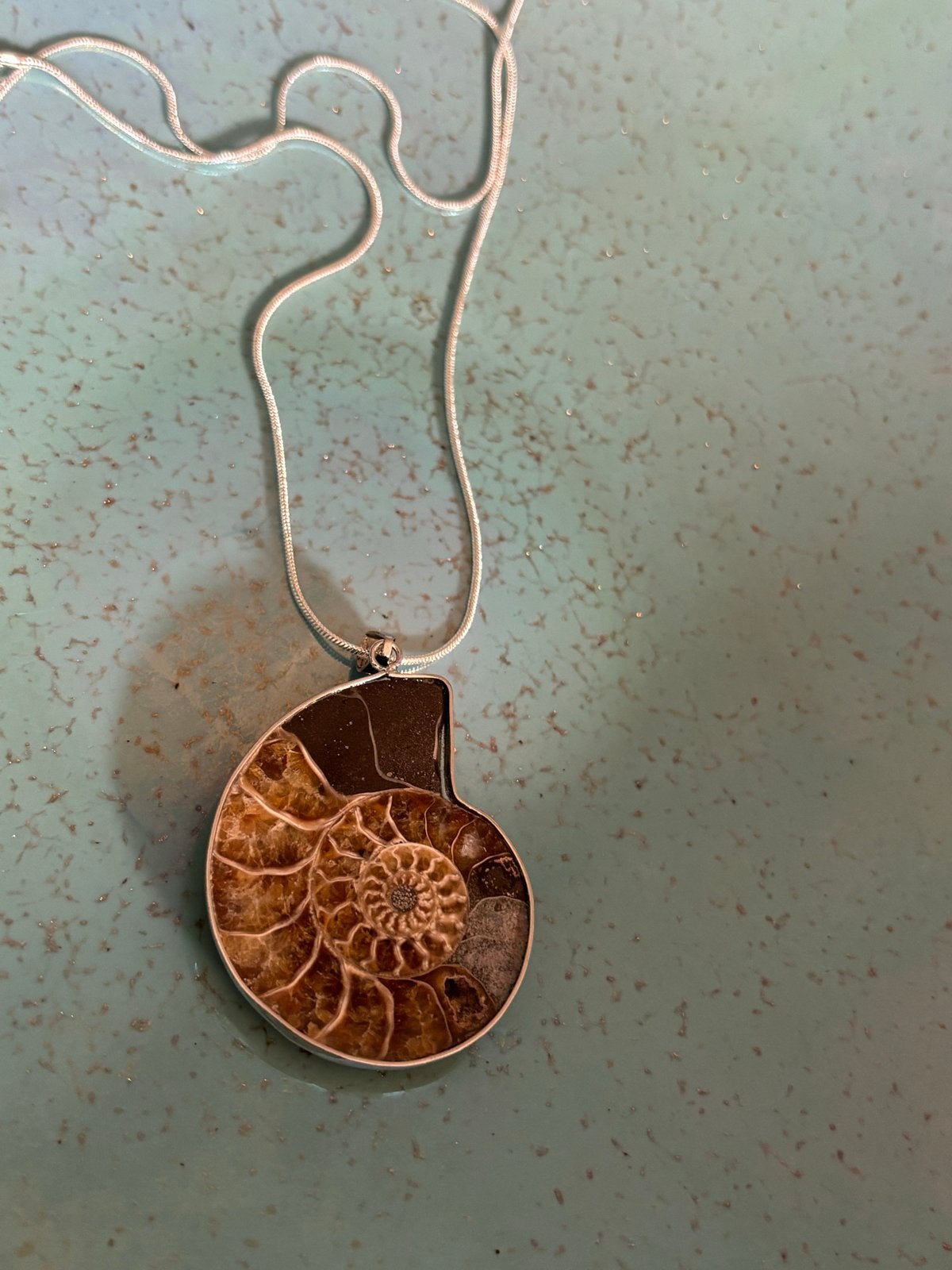 Eeuwenoude Ammoniet Hanger met  Ketting (60 cm), Sieraden, Tassen en Uiterlijk, Kettingen, Met hanger, Bruin, Verzenden, Nieuw
