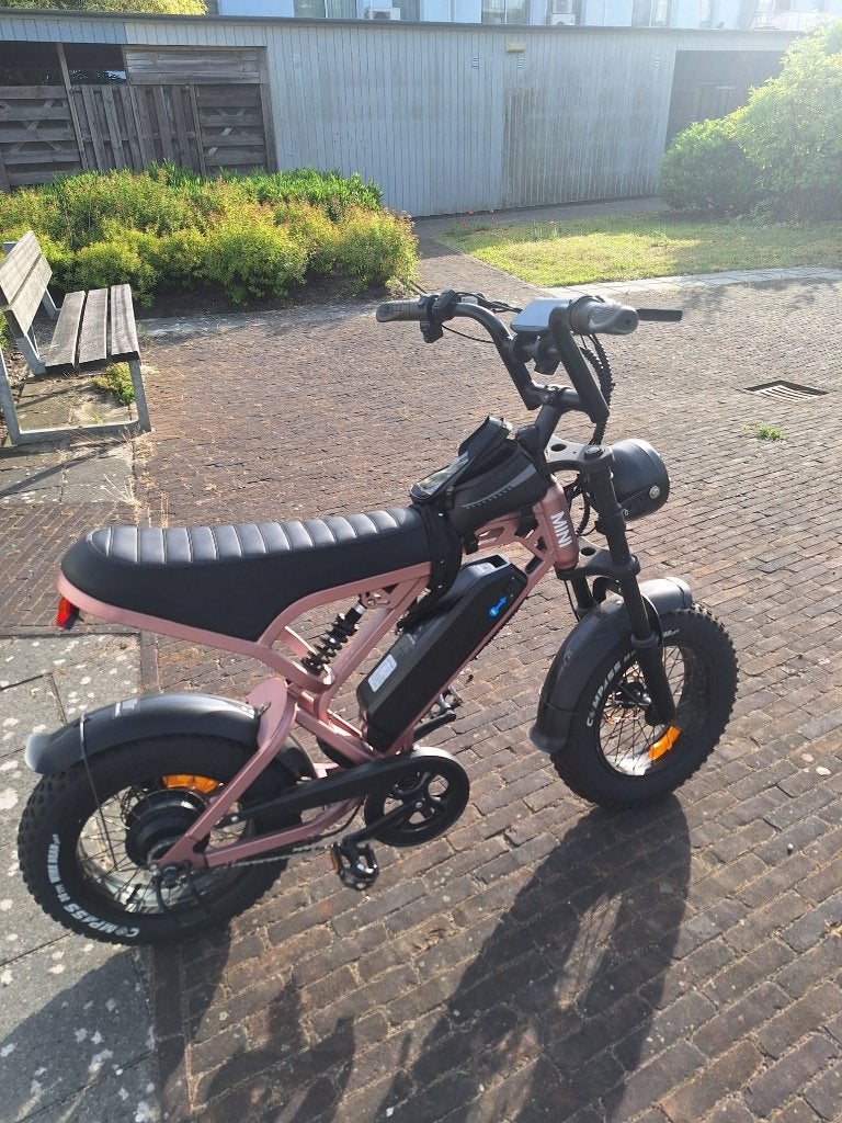 Fatbike, Ophalen, Zo goed als nieuw, Minder dan 30 km per accu, Overige merken