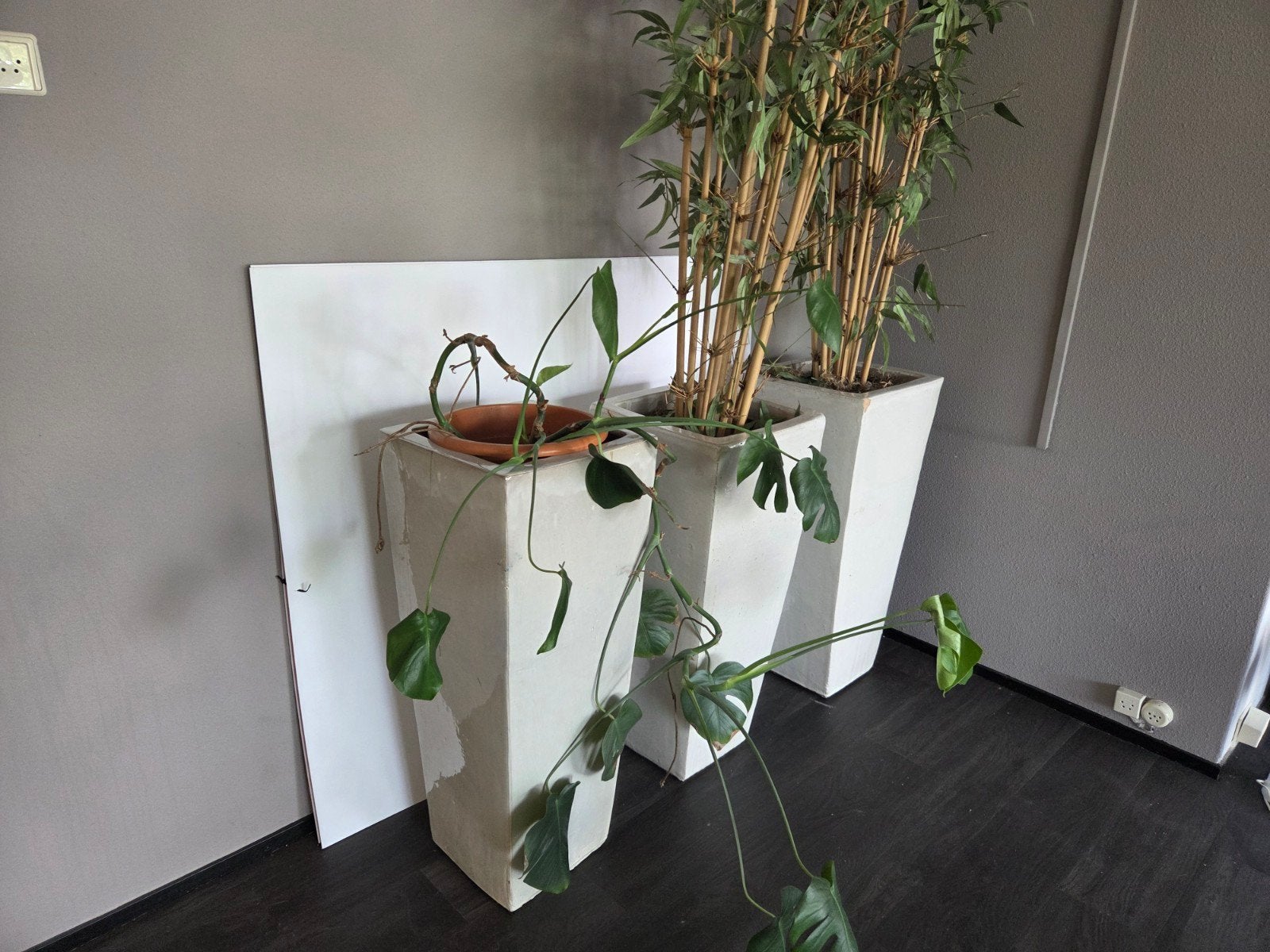 bloembakken, Ophalen, Vierkant, Minder dan 50 cm, Minder dan 100 cm