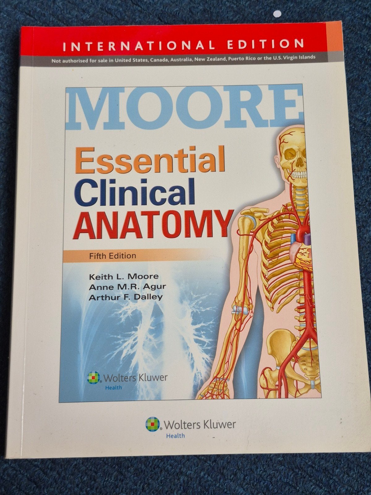 Moore Essential Clinical Anatomy - Vijfde Editie, Keith L. Moore, Anne M.R. Agur, Arthur F. Dalley, Ophalen of Verzenden, Beta