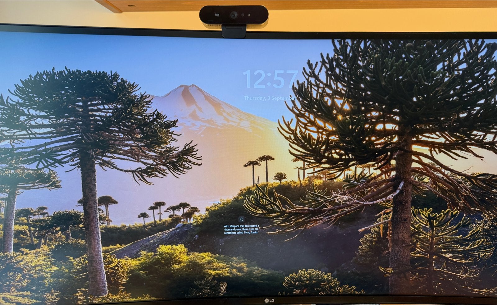 LG 40WP95C-W 40 inch UltraWide 5K2K Nano IPS Monitor, Ophalen, IPS, Zo goed als nieuw, Ingebouwde speakers