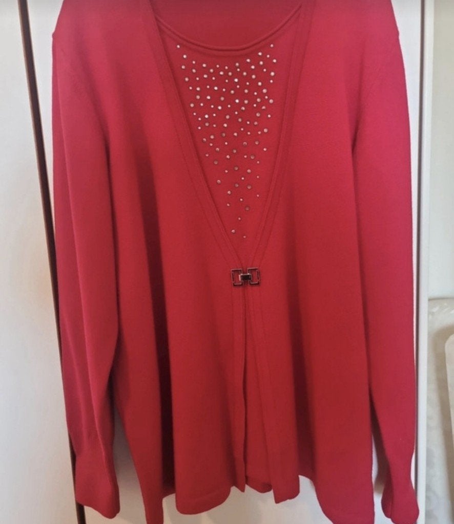 Rode Rabe trui met lange mouwen en glitter steentjes mt 44, Kleding | Dames, Rabe, Maat 42/44 (L), Ophalen of Verzenden, Zo goed als nieuw