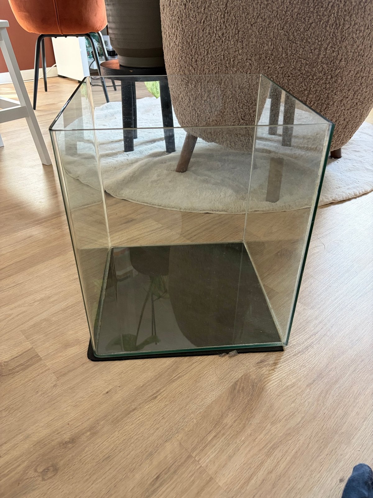 Dennerle Nano Cube 60L aquarium + glazen afdekplaat, Dieren en Toebehoren, Ophalen, Zo goed als nieuw, Leeg aquarium, Dennerle