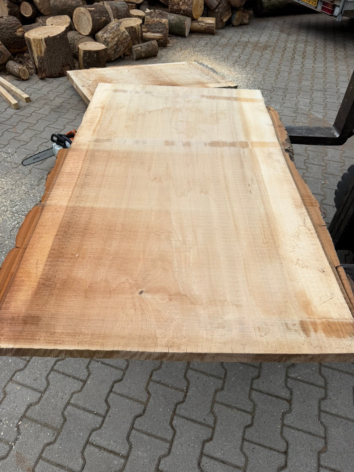 Mooi boomstam blad 140x85x4cm