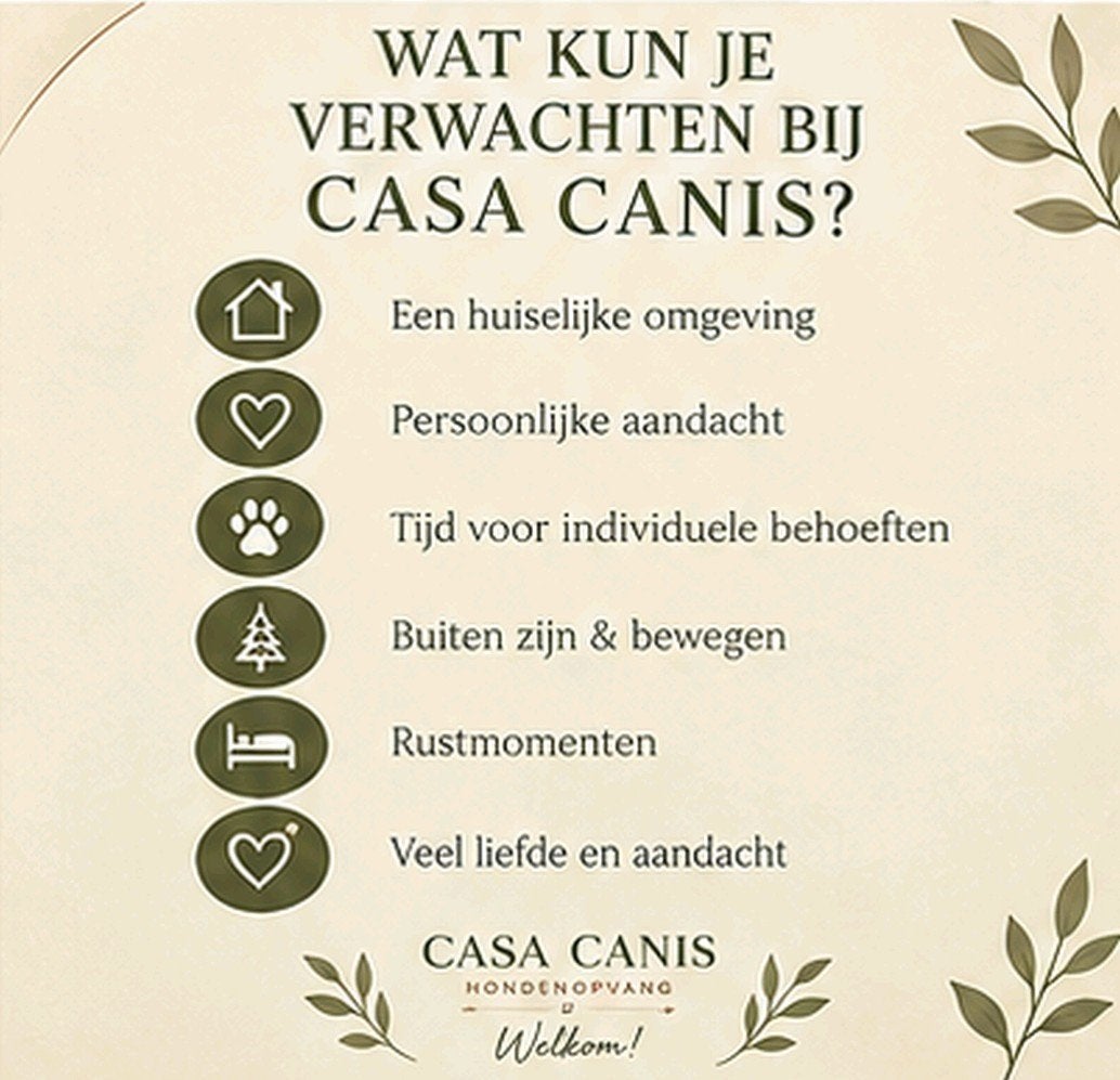 honden opvang en uitlaat plekjes!, Particuliere oppas