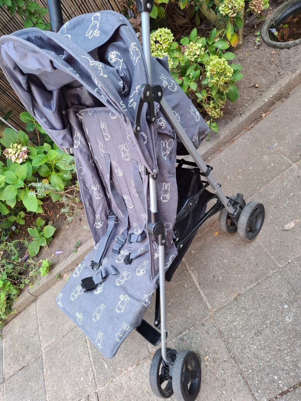 Nijntje Buggy - Handige en Compacte Reisbuggy, Ophalen