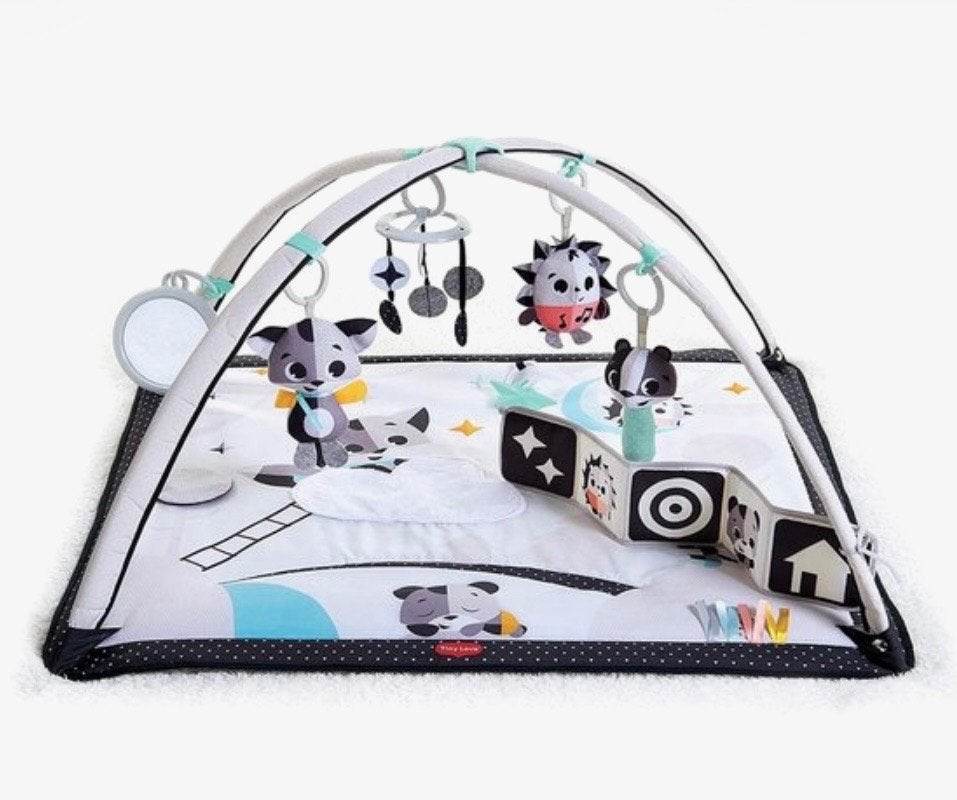 Tiny Love baby gym, Ophalen, Zo goed als nieuw