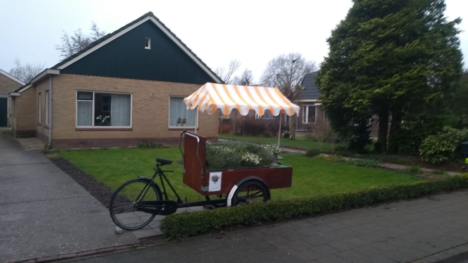 Bloemen kar voor verkoop aan de weg, Ophalen, Gebruikt, Opvouwbaar, Oma.s