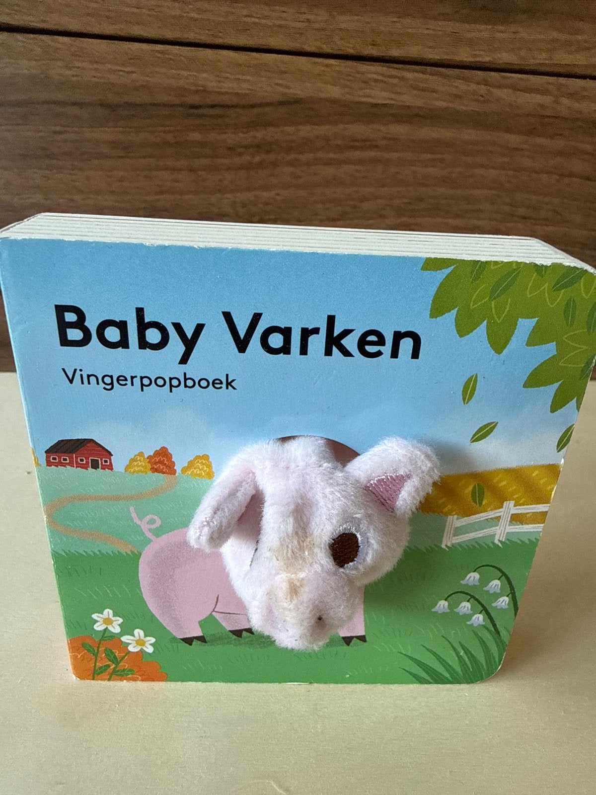 Baby Varken vingerpopboek - Zo goed als nieuw, Ophalen of Verzenden, Zo goed als nieuw, Uitklap-, Voel- of Ontdekboek, 0 tot 6 maanden