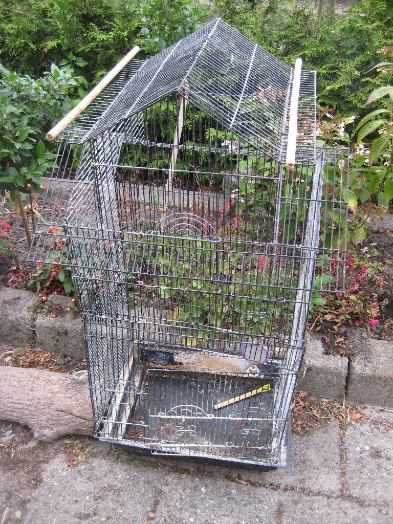 vogelkooi, Dieren en Toebehoren, Vogels | Hokken en Kooien, Ophalen, Gebruikt, Metaal, Vogelkooi