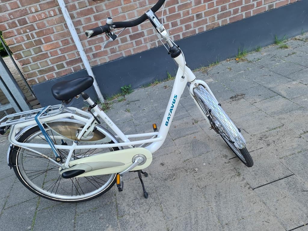 Batavus Mambo moederfiets, Fietsen en Brommers, Fietsen | Dames | Moederfietsen, Ophalen, Gebruikt, Batavus, Versnellingen