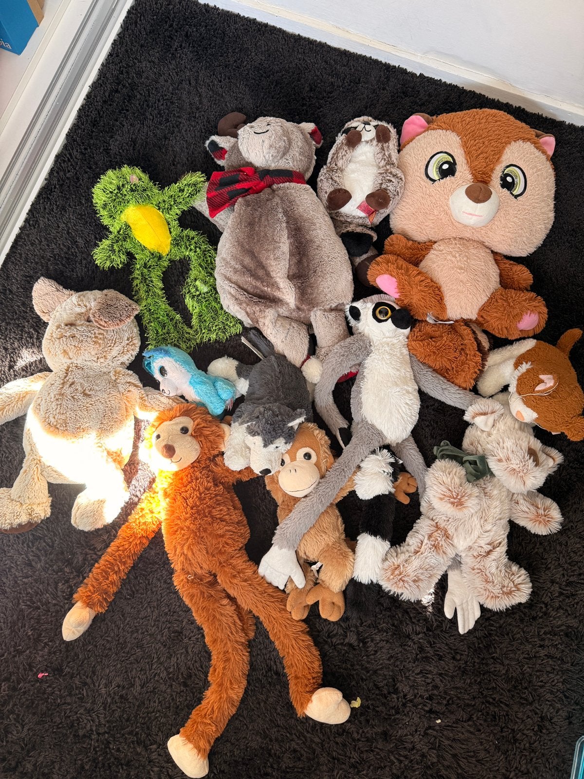 Knuffels / plushed toys (price for all), Ophalen, Gebruikt, Overige typen