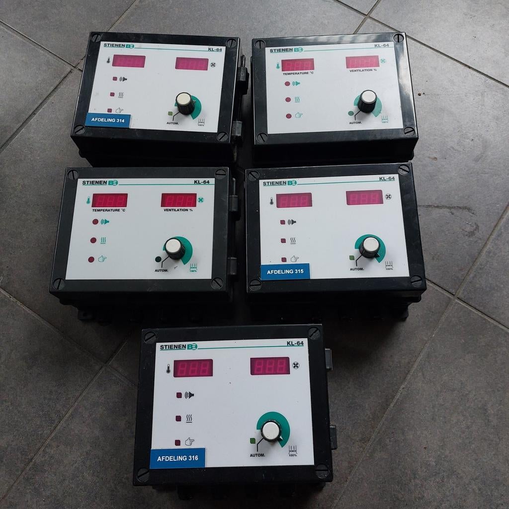 5 x Stienen KL-64, Mannelijk, Schaap