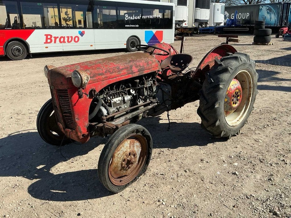 Massey Ferguson Tef 20 Oldtimer tractor, Oldtimer, Massey Ferguson
