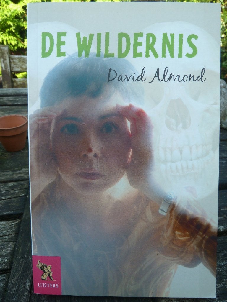 De Wildernis - David Almond (Jonge Lijsters), Gelezen, Ophalen of Verzenden, Fictie, David Almond