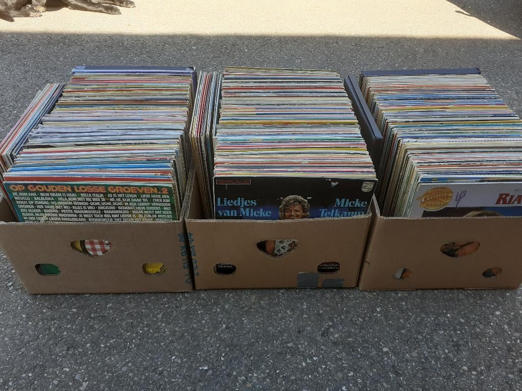heel veel LP's nederlandstalig, Ophalen, Gebruikt, 12 inch, Levenslied of Smartlap