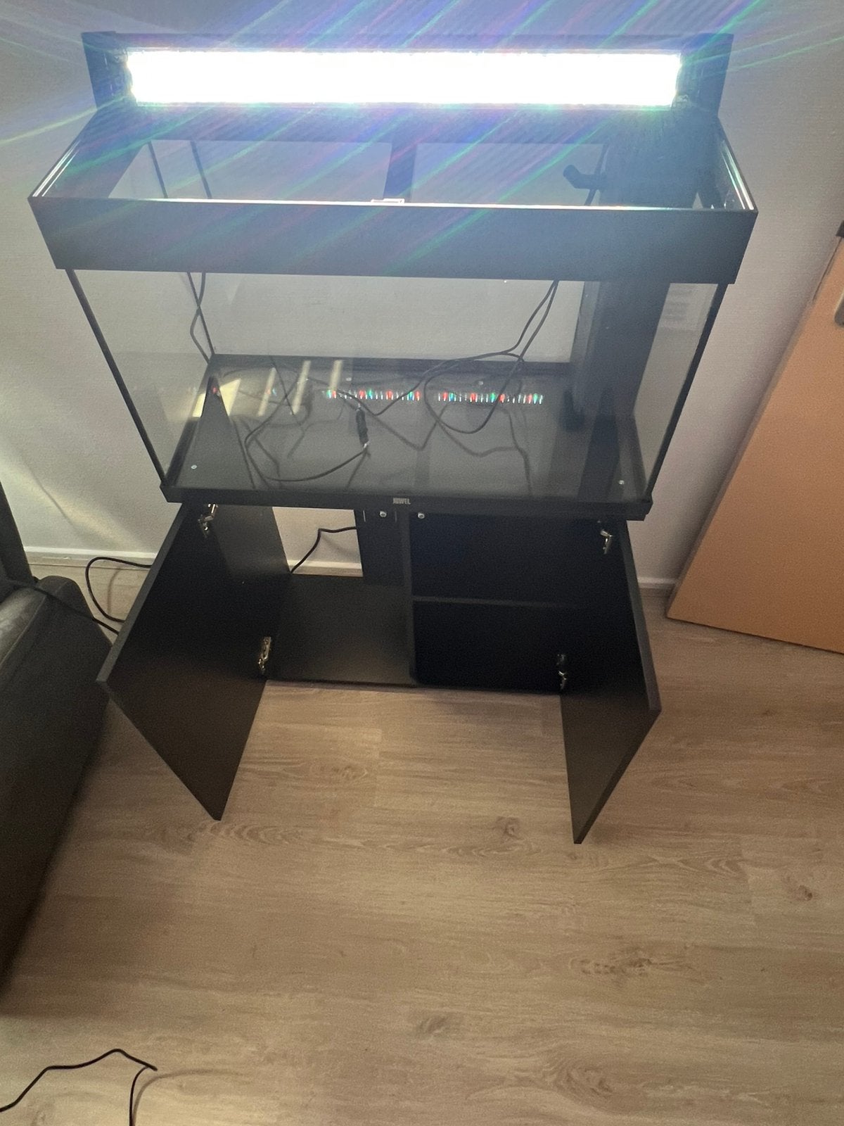Juwel Rio 125 aquarium met Helialux lamp, Dieren en Toebehoren, Vissen | Aquariumvissen, Vis