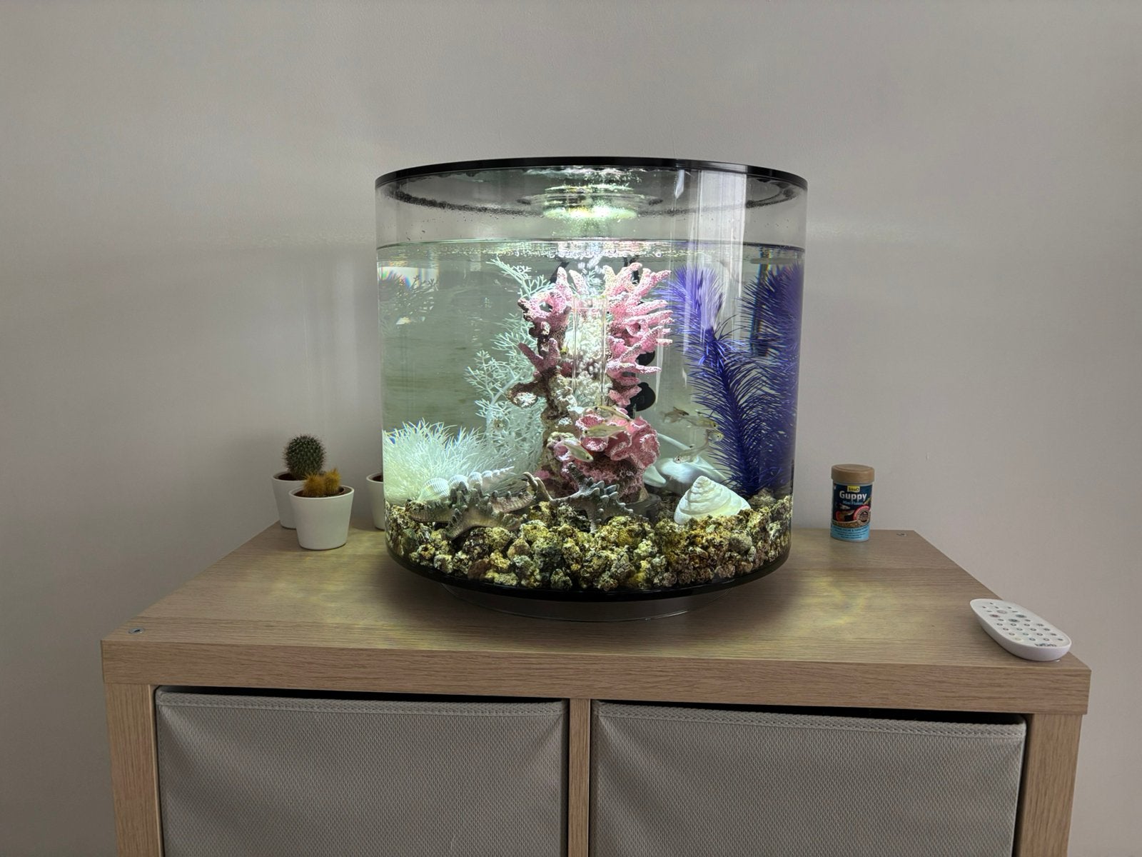 Biorb rond 35 liter Aquarium inclusief decoraties, Ophalen, Zo goed als nieuw, Leeg aquarium