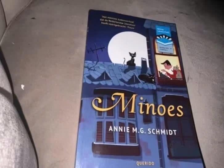minoes, Boeken, Verzenden, Fictie algemeen