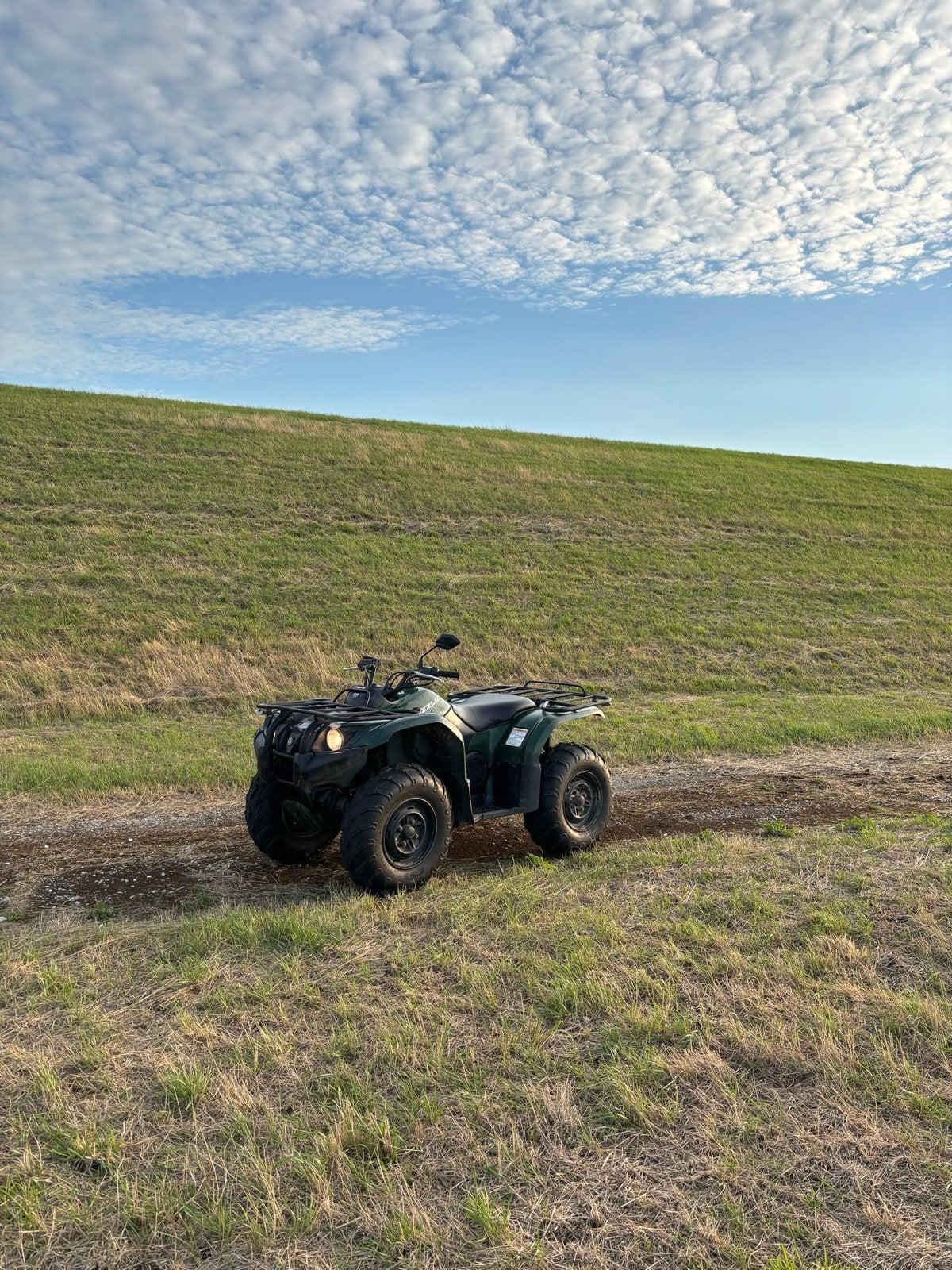 Yamaha Grizzly 450 - Start en rijdt goed, nieuwe banden/accu, 1 cilinder, 12 t/m 35 kW
