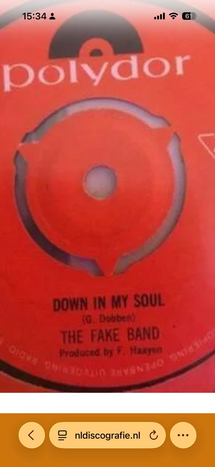 GEZOCHT: Fake band - Down in my soul, Ophalen of Verzenden, Zo goed als nieuw