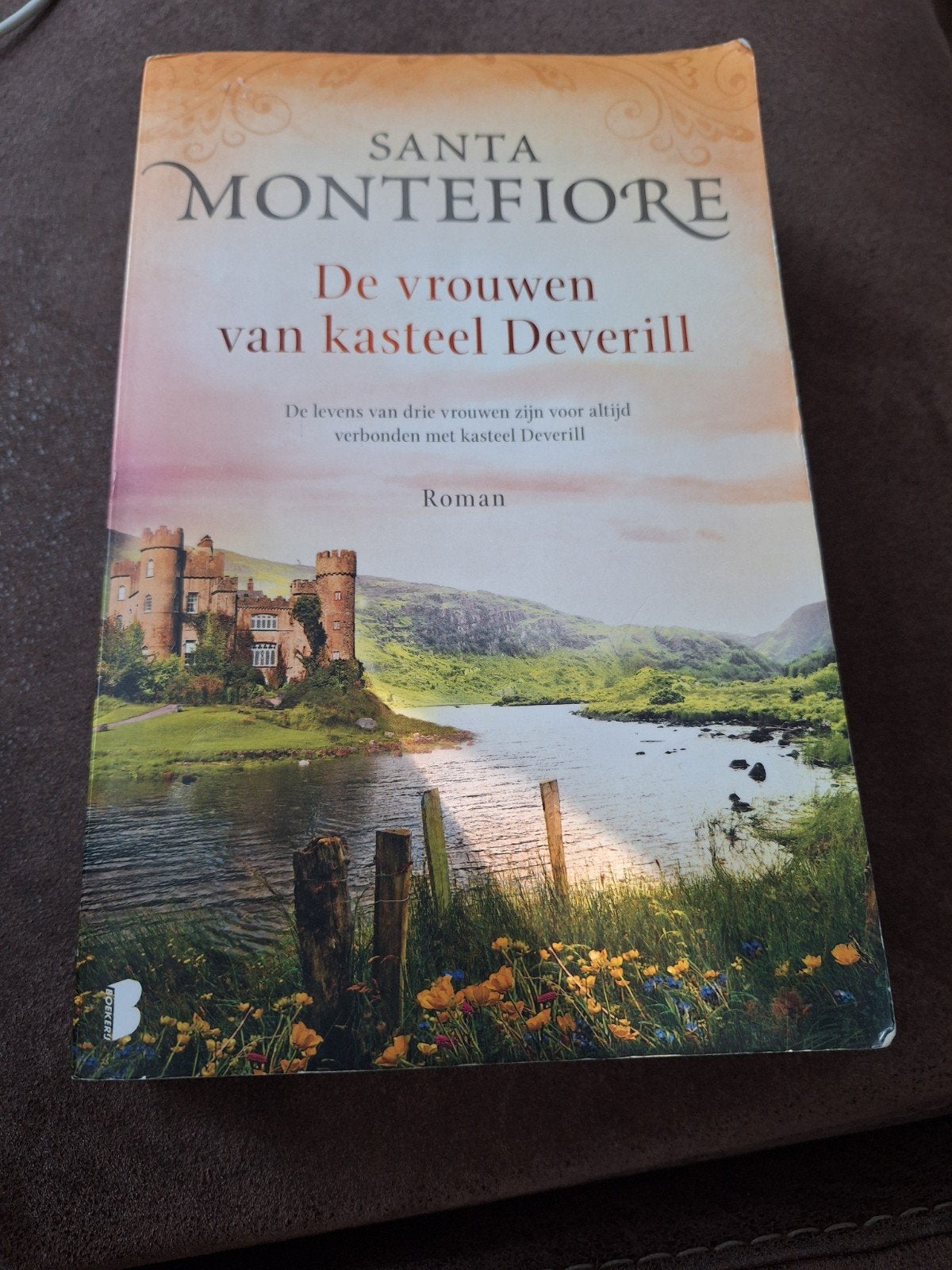 De vrouwen van kasteel Deverill - Santa Montefiore, Boeken, Ophalen of Verzenden, Gelezen, Santa Montefiore, Europa overig