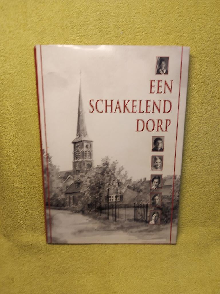 Een schakelend dorp - Roger van Laere. Liempde., Boeken, Geschiedenis | Stad en Regio, Ophalen of Verzenden, 20e eeuw of later