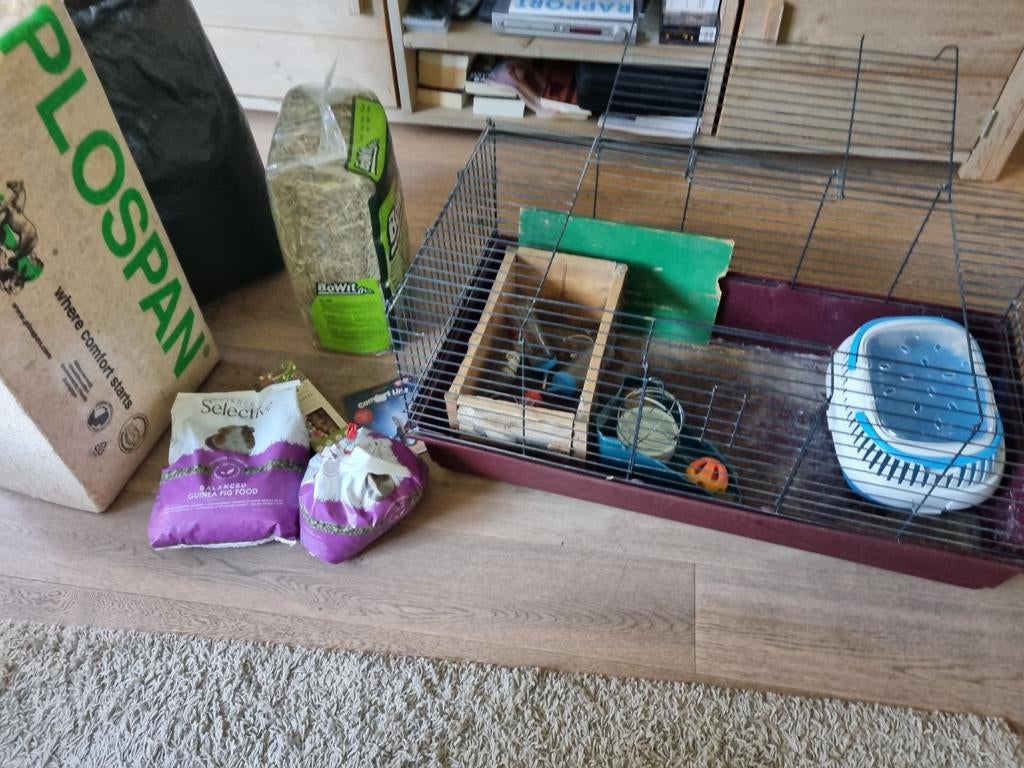 Cavia kooi met toebehoren en voer, Kooi, Gebruikt, 75 tot 110 cm, Cavia