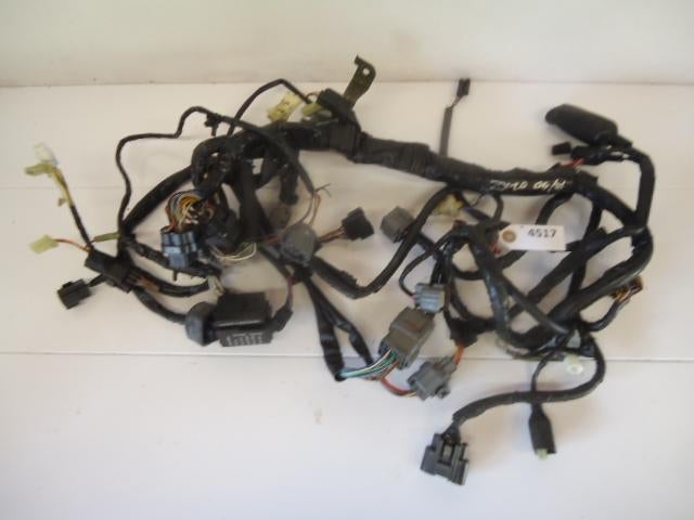 ZX10R 2004 - 2005 Kawasaki Kabelboom D1-16780