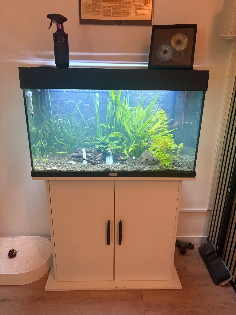 Aquarium incl toebehoren, Ophalen, Gebruikt, Gevuld zoetwateraquarium, Juwel