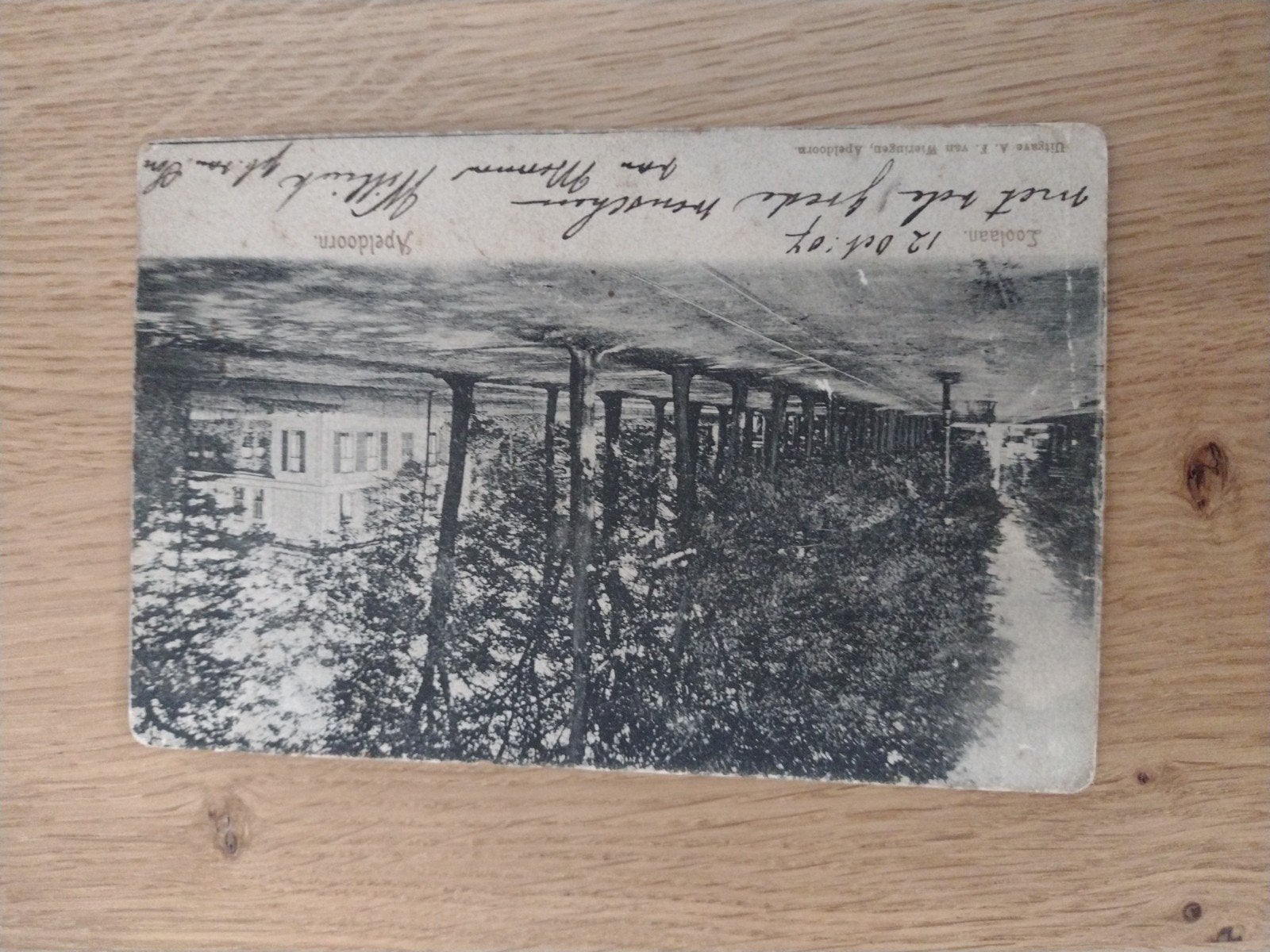 Oude ansichtkaart Apeldoorn, Loolaan 1907, Ophalen of Verzenden, Voor 1920, Gelopen, Gelderland
