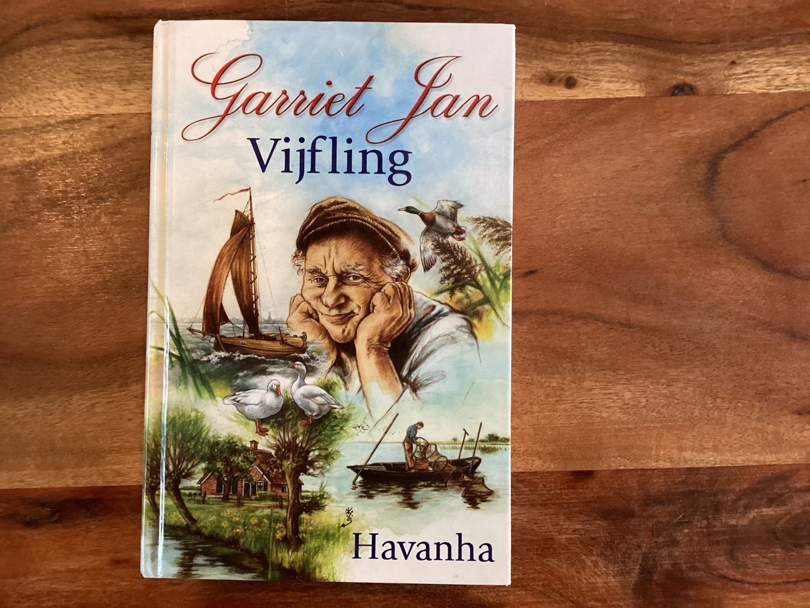 Garriet Jan Vijfling - 5 delen in 1 band - 640 blz., Havanha, Verzenden, Gelezen, Nederland
